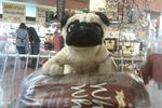 bigdog's Avatar