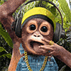 gurusev's Avatar