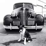 denvemolorado's Avatar