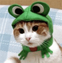 FileNotFound's Avatar