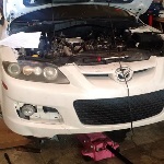 thepuffster's Avatar