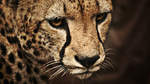 Andrew_MS3's Avatar