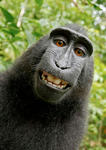 Spinnbait's Avatar