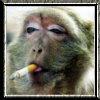 Chrishizo's Avatar